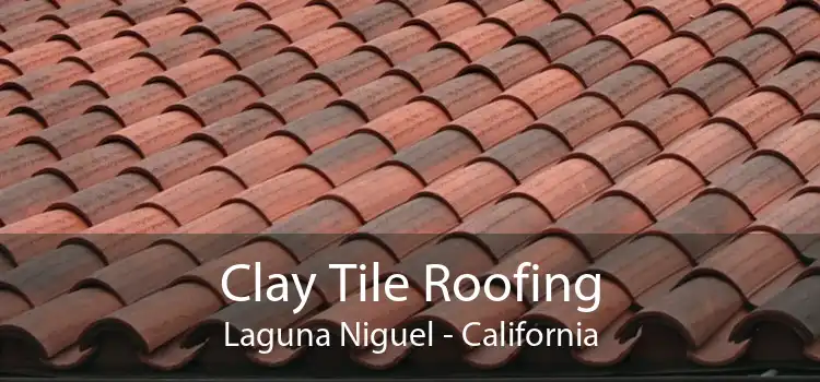 Clay Tile Roofing Laguna Niguel - California