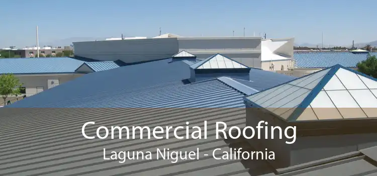 Commercial Roofing Laguna Niguel - California