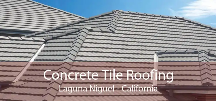 Concrete Tile Roofing Laguna Niguel - California