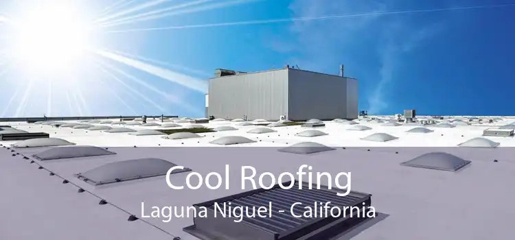 Cool Roofing Laguna Niguel - California