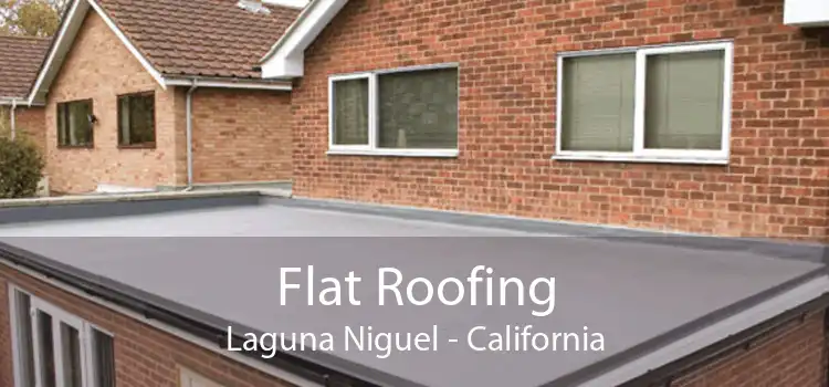 Flat Roofing Laguna Niguel - California