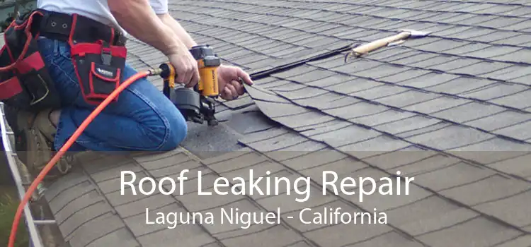 Roof Leaking Repair Laguna Niguel - California