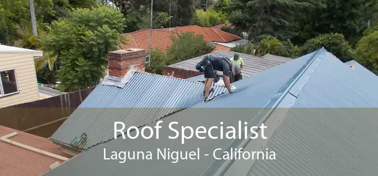 Roof Specialist Laguna Niguel - California