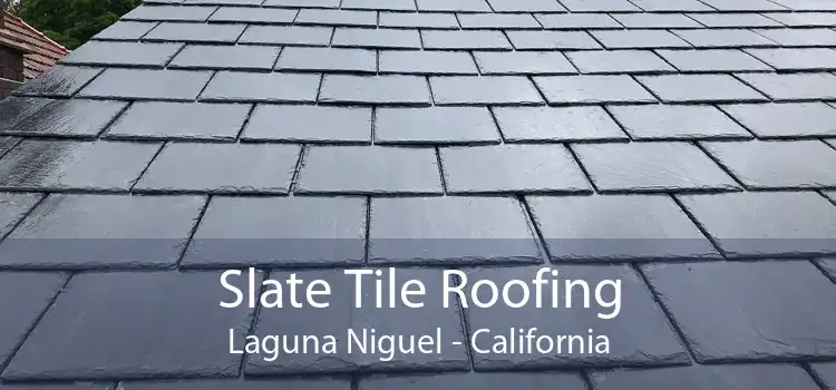 Slate Tile Roofing Laguna Niguel - California