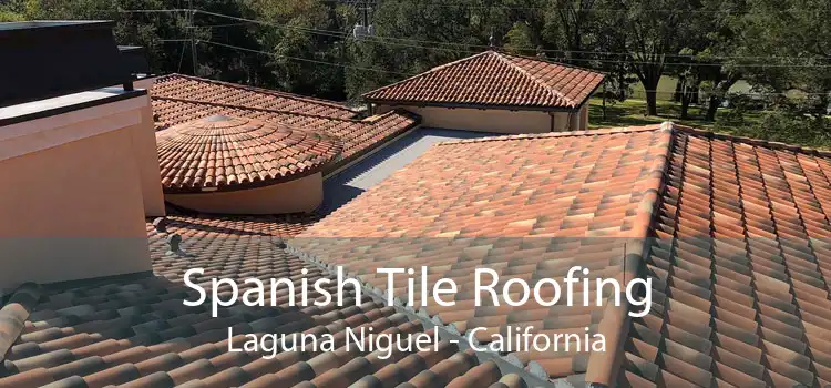 Spanish Tile Roofing Laguna Niguel - California