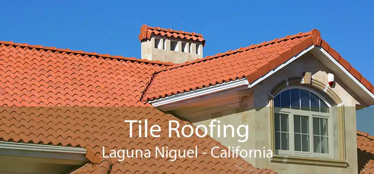 Tile Roofing Laguna Niguel - California