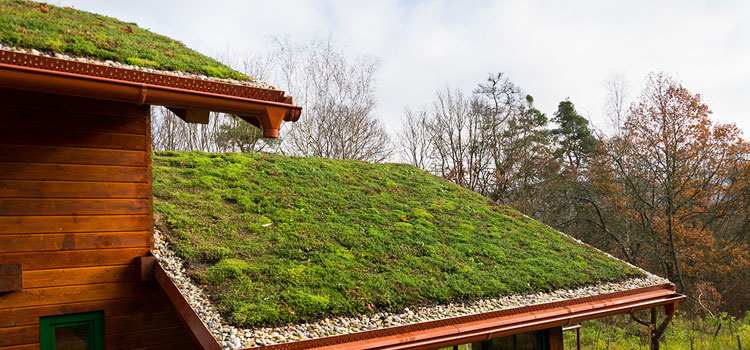 Laguna Niguel Residential Green Roof